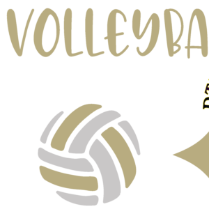 Volleyball0016
