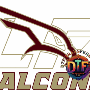 Falcons logo with stylized bird design.