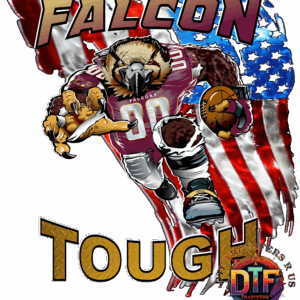 Falcon mascot with American flag background.